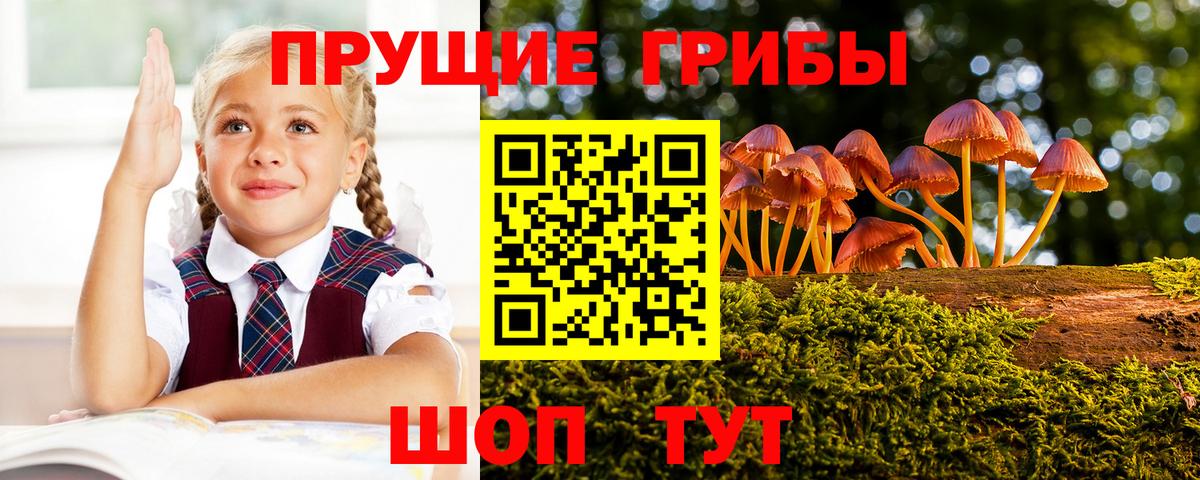 где найти наркотики  Галлюциногенные грибы Psilocybe  Вход с VPN  Псилоцибиновые грибы GOLDEN TEACHER  Тимашёвск 
