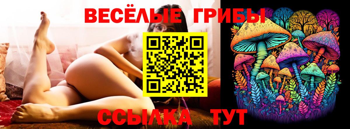 Галлюциногенные грибы MAGIC MUSHROOMS Тимашёвск